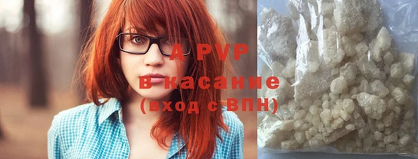 сатива Верхний Тагил