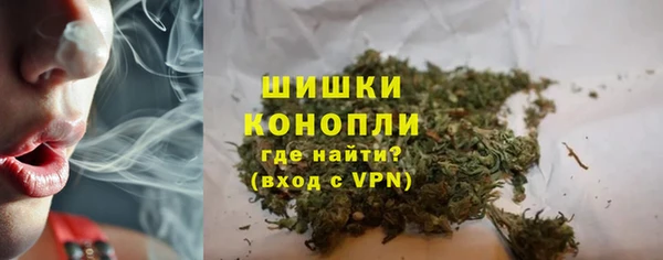 сатива Верхний Тагил