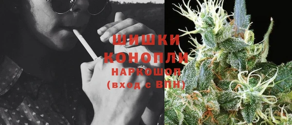 сатива Верхний Тагил