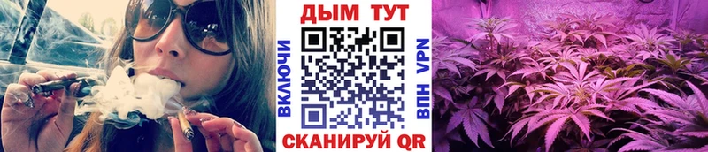 ссылка на мегу ссылка  Камызяк  Канабис планчик 