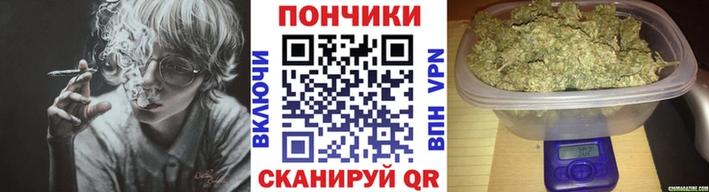 Бошки марихуана гибрид Камызяк